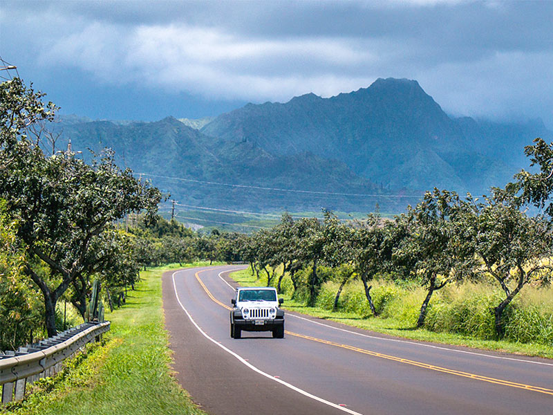 Rent jeep kauai #5