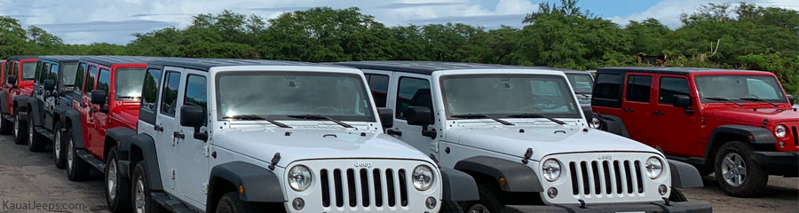 Fleet of Jeep Wranglers